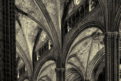 Altered Images Photography Pty Ltd